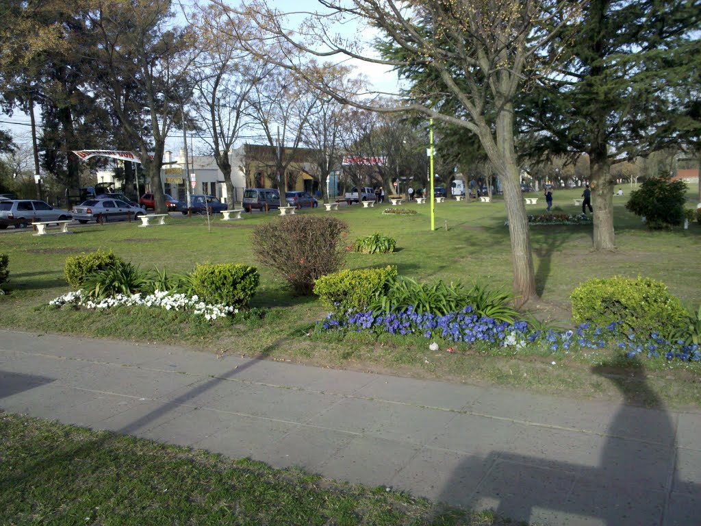 Feria en el Parque